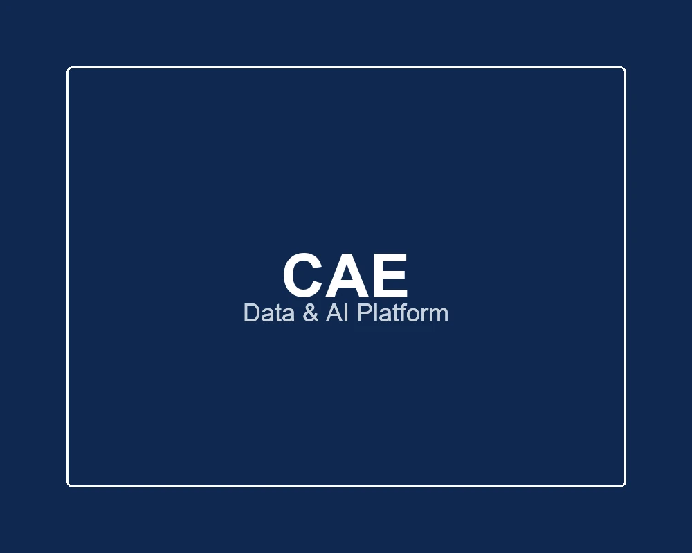 CAE — data and AI platform
